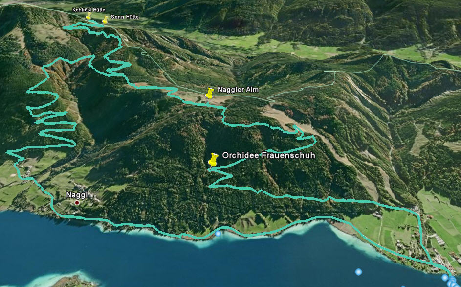 Google Earth