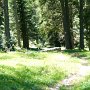 Verschwommenes Bild, aber dafür ein flotter Trail!