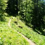 Auf zum Fenner Joch!