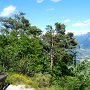 Oberhalb von Tramin noch mal Ausblick tanken