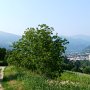 Rückblick auf den Startpunkt Brixen