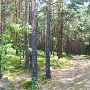 Im Wald oberhalb von Schabs...