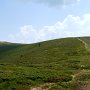 Der Weg hoch zur Ochsenalm bzw. Stoanamandl