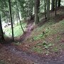 So schaut sie aus, nach dem Regen etwas feucht!