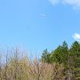 hoch mit dem Heli, und runter kommt er sicherlich