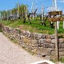 Hinweisschilder für den offiziellen Rundfahrradweg (im Gebenuhrzeigersinn) um den Monte Marzola