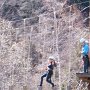 Hochseilgarten oberhalb Partschins