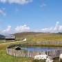 Das Haustier der Alm