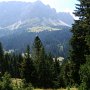 ab durch die Botanik