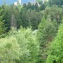 immer auf der ausgeschilderten Radroute