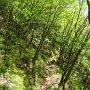 Singletrail, hier noch annehmbar