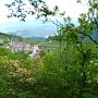Margone