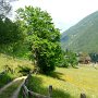 weiter nach Kuppelwies