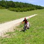 besser in der Wiese als auf dem schottrigen Weg!