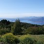 Sirmione im Blick