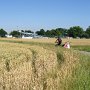 immer auf dem offiziellen Fahrradweg