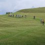 ...un gruppo di ciclisti..