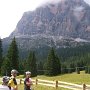 Prima di imboccare la strada verso il Rif. 5 Torri, cogliamo l'occasione per...