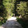 ... e scendiamo con prudenza una forestale.