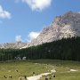 Il Rif. Federa sotto il Croda da Lago. Quel dentino alla sinistra si chiama Beco de Mezodi.
