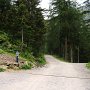 hier links hoch zur Faltschnal Alm