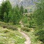 der schöne Teil des Panoramaweges.