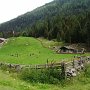 Talauswärts gibs diesen Streichelzoo