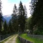 Entlang der Rodelbahn