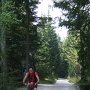 zur Felixer Alm