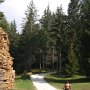 durch perfekt gepflegte Wälder