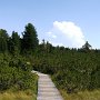 nach der Rinderplatzhütte gehts durch Moorlandschaften