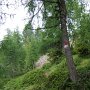 Nach dem Aufstieg scheint der Weg noch fahrbar.