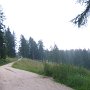 Auf dem Weg zum Brezner Joch: viele km schön dahinrollen.