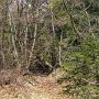 Schiebestück vor dem Monte Rufer