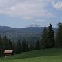 kurz nach dem höchsten Punkt gibt der Wald den Blick zur Laugenspitze frei