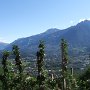 Blick durch Obstwiesen oberhalb von Tscherms. Im Hintergrund rechts: Seilbahn Meran 2000