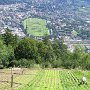 vom Gemüsebeet direkt auf den Pferderennplatz