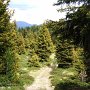 Übergang von der Naturnser Alm zur Bärenbadalm