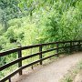 auf dem Weg in die Gaulschlucht