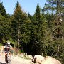 Altra piccola salita dopo la Zwingenburg