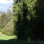 Sotto Bad Gfrill si esce dal bosco