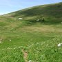 Blick zurück auf die Alpe Alba.