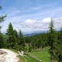 Abfahrt auf dem Sentiero delle Malghe (Almenweg)