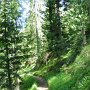 Sehr toller Weg nach St. Moritz