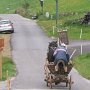 Anscheinend gibt es noch einsatzfähige Fuhrwerke!
