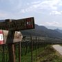 Es geht immer noch gerade aus. Im Hintergrund: Ruine Leuchtenburg