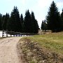 Fast schon schneefrei auf 1800m