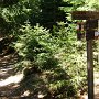 von Bärenbad zur Talstation des Sesselliftes