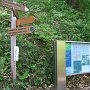 Weiter auf dem 33b zum Heidenhof