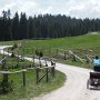 weiter bis zur Auerleger Alm